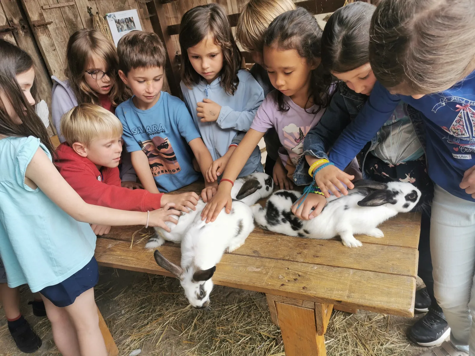Les petits fermiers