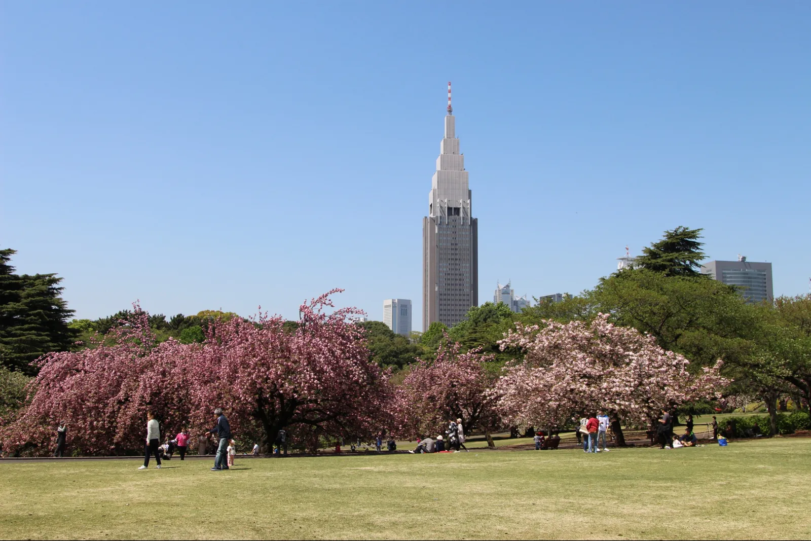Tokyo Pop
