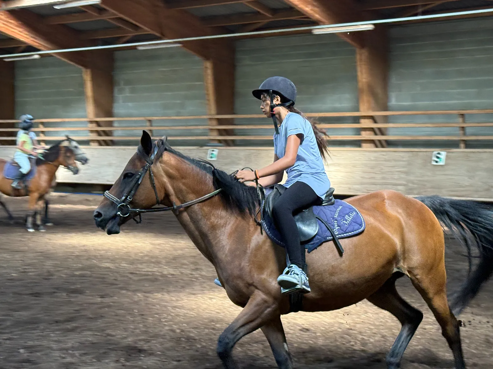 Galop & Évasion
